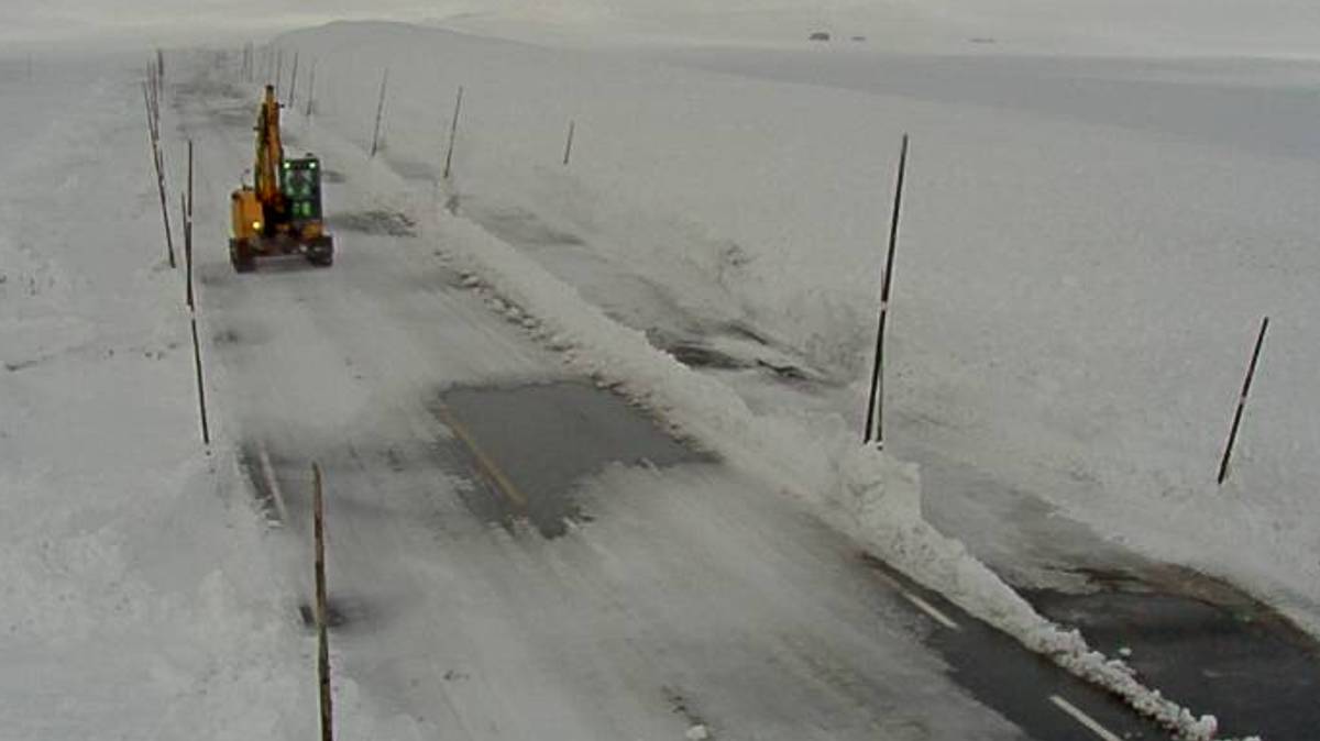 Kolonnekjøring over Hardangervidda – NRK Vestland