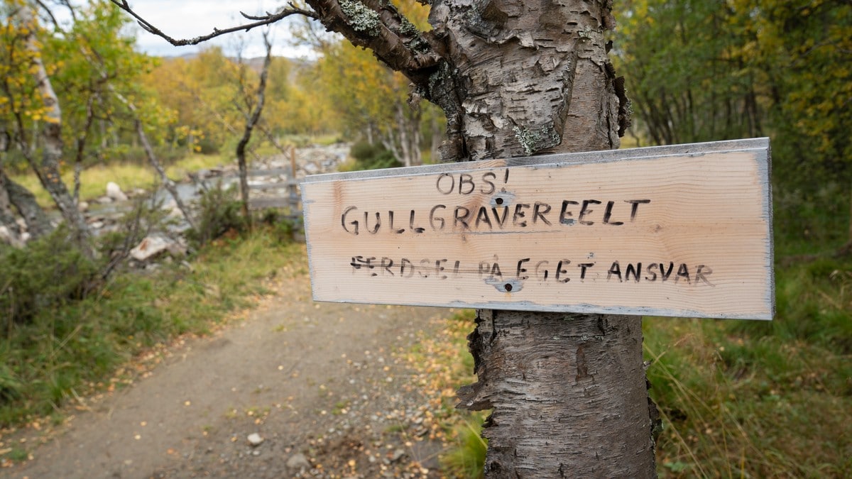 Det finnes gull i norsk natur. Alt du trenger er en vaskepanne. og litt flaks.