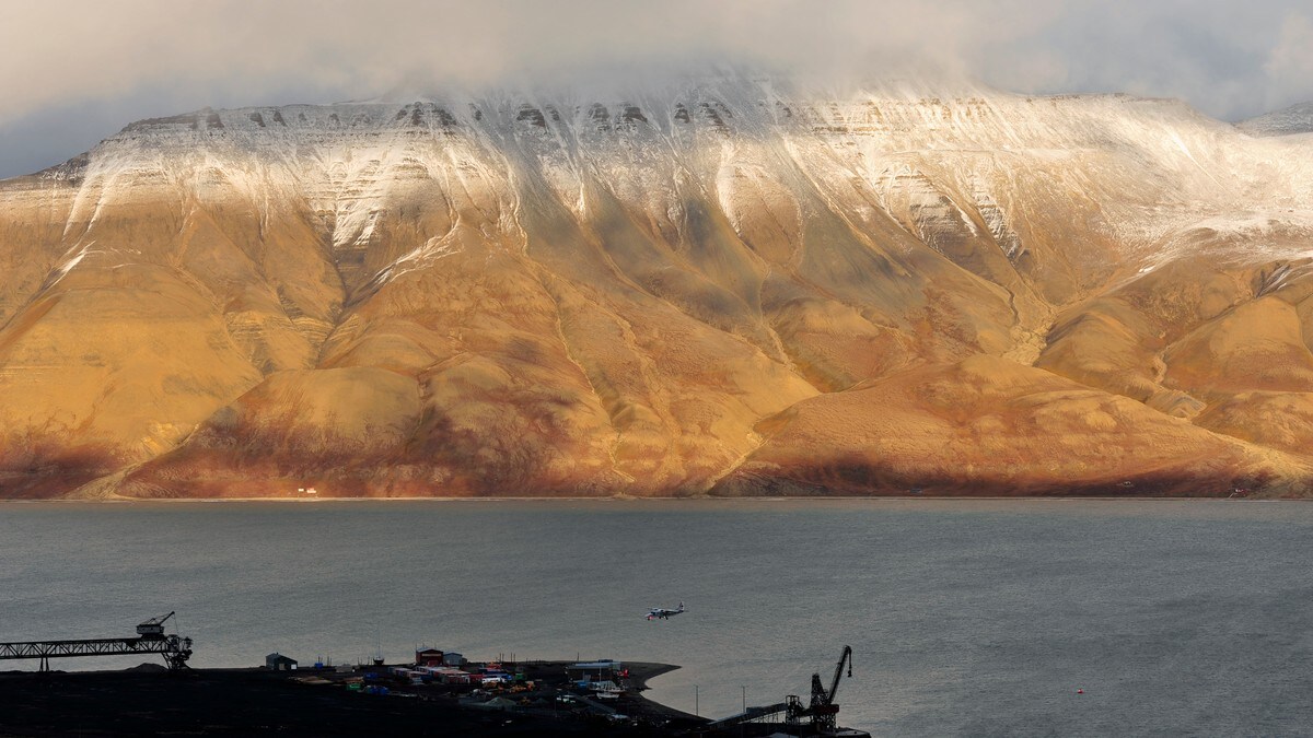 Vil styrke vernet av Svalbard