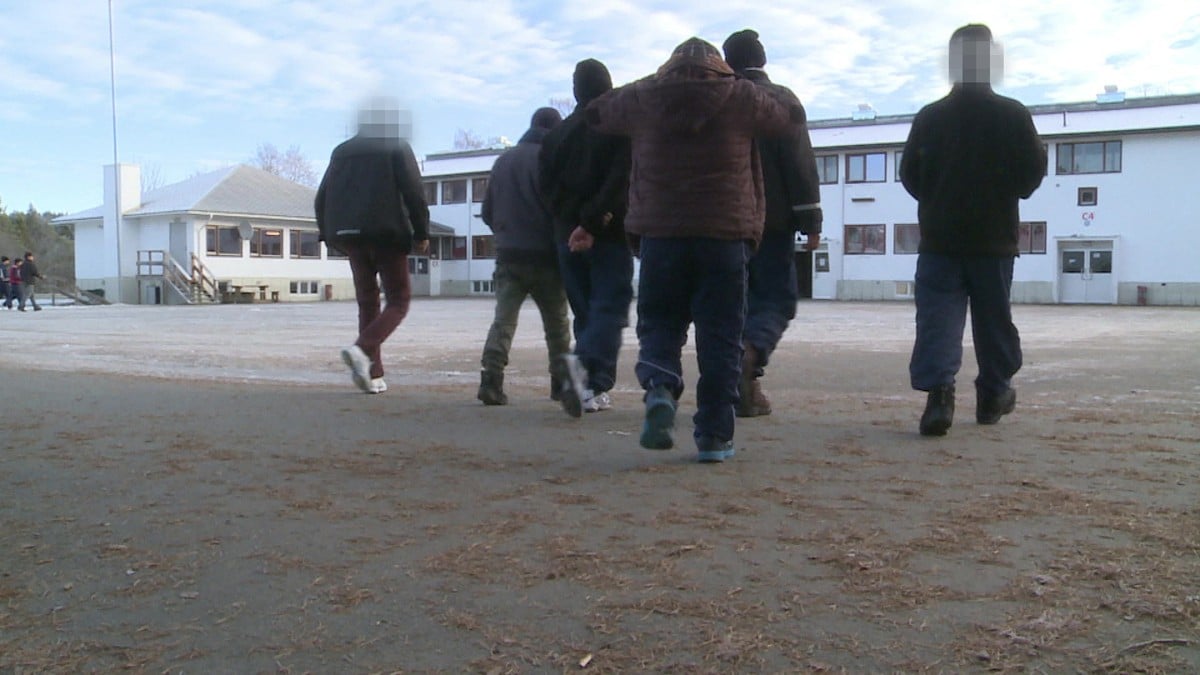 – Noen barn blir brukt til å sikre at foreldre får opphold i Norge