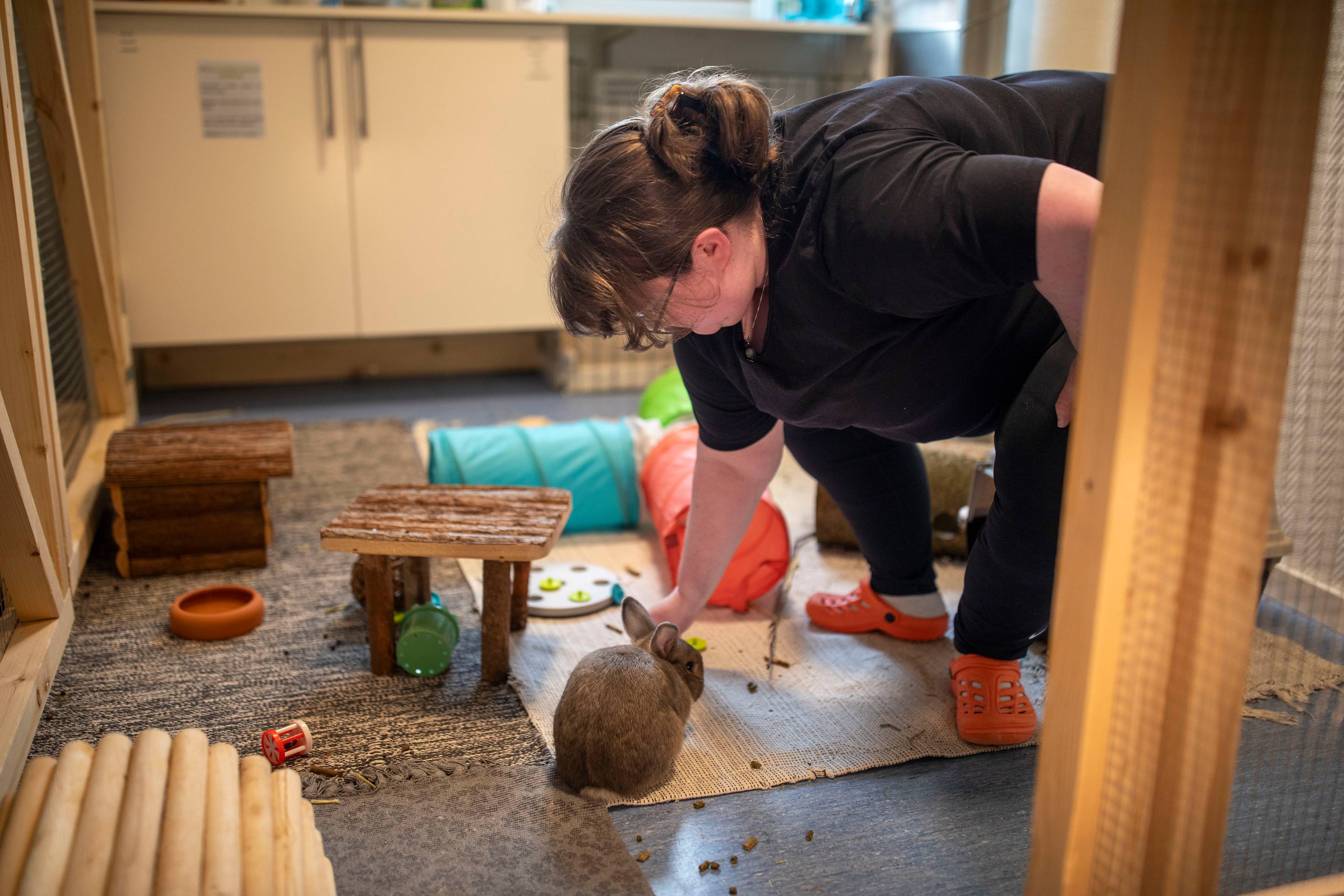 Gunhild lener seg fremover for å kose med en kanin. Kaninen er omgitt av kaninleker