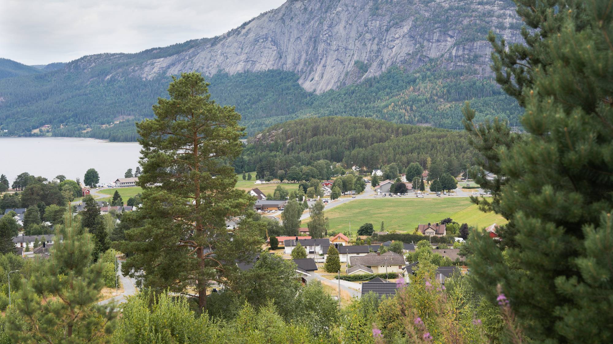 Utsikt over bebyggelse, skog og innsjø med en bratt fjellvegg i bakgrunnen. (Bildebeskrivelsen er laget av en KI-tjeneste)