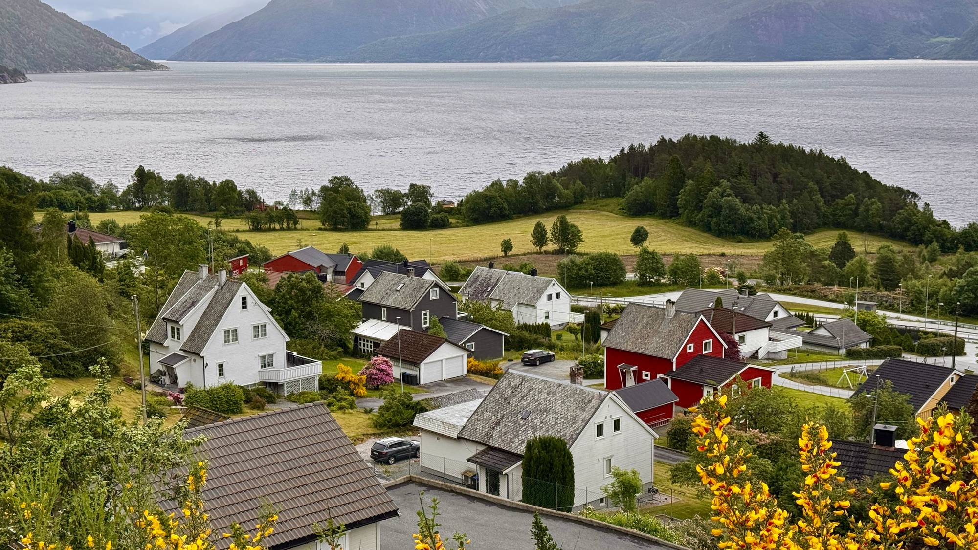 Et vakkert landskap viser en fjord med fjellsider i bakgrunnen. Flere hus ligger spredt i terrenget, noen i en liten landsby. Fargene er dempede, men sterke gule blomster lyser opp i forgrunnen. (Bildebeskrivelsen er laget av en KI-tjeneste)