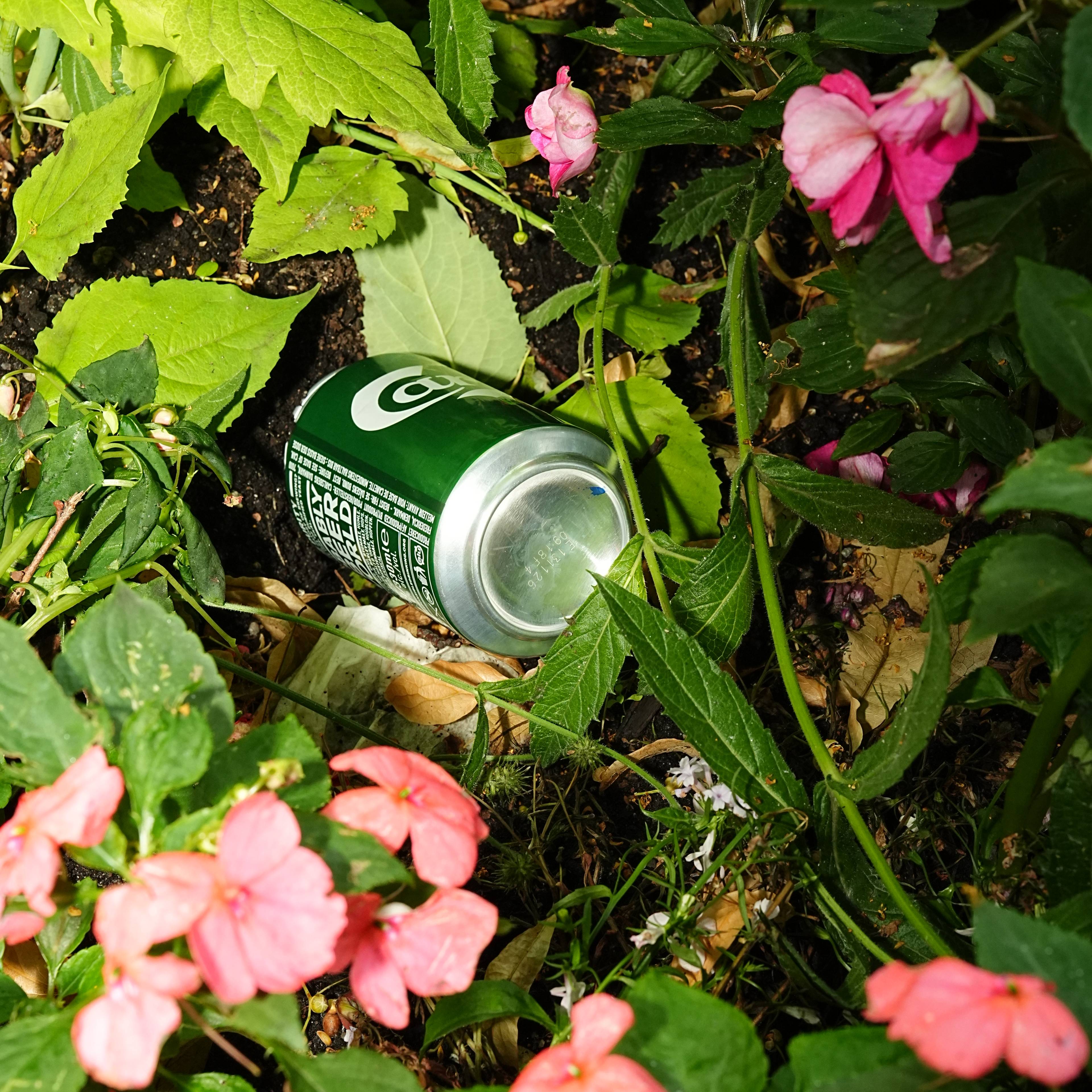 En grønn ølboks ligger henslengt i et blomsterbed omgitt av grønne blader og rosa blomster. (Bildebeskrivelsen er laget av en KI-tjeneste)