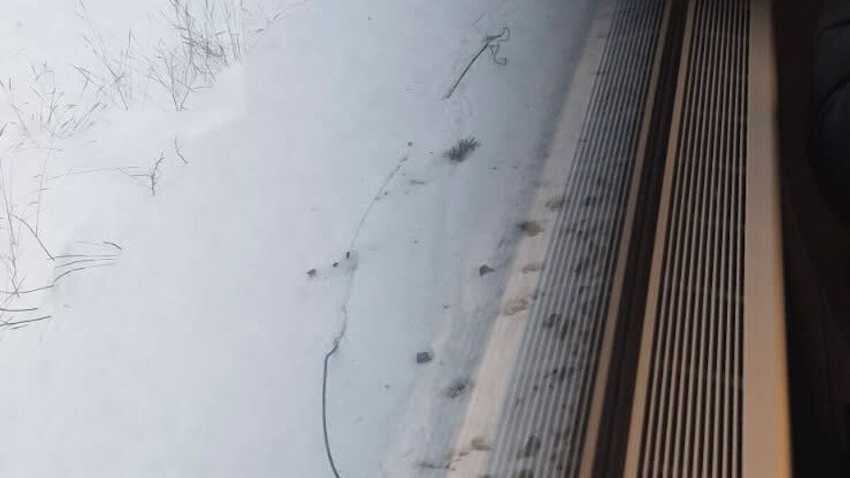Alle tog innstilt mellom Hamar og Eidsvoll: – Midt i ingenmannsland