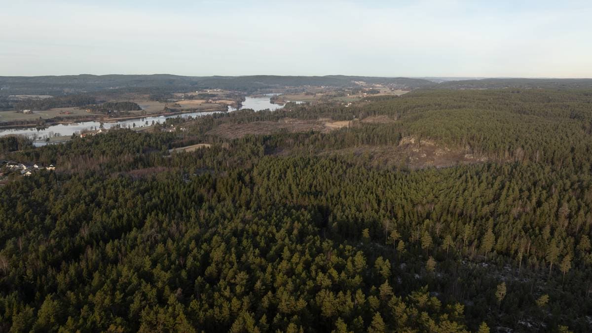 Planlegg gigantutbygging av datasenter: – Dette er vi svært kritiske til