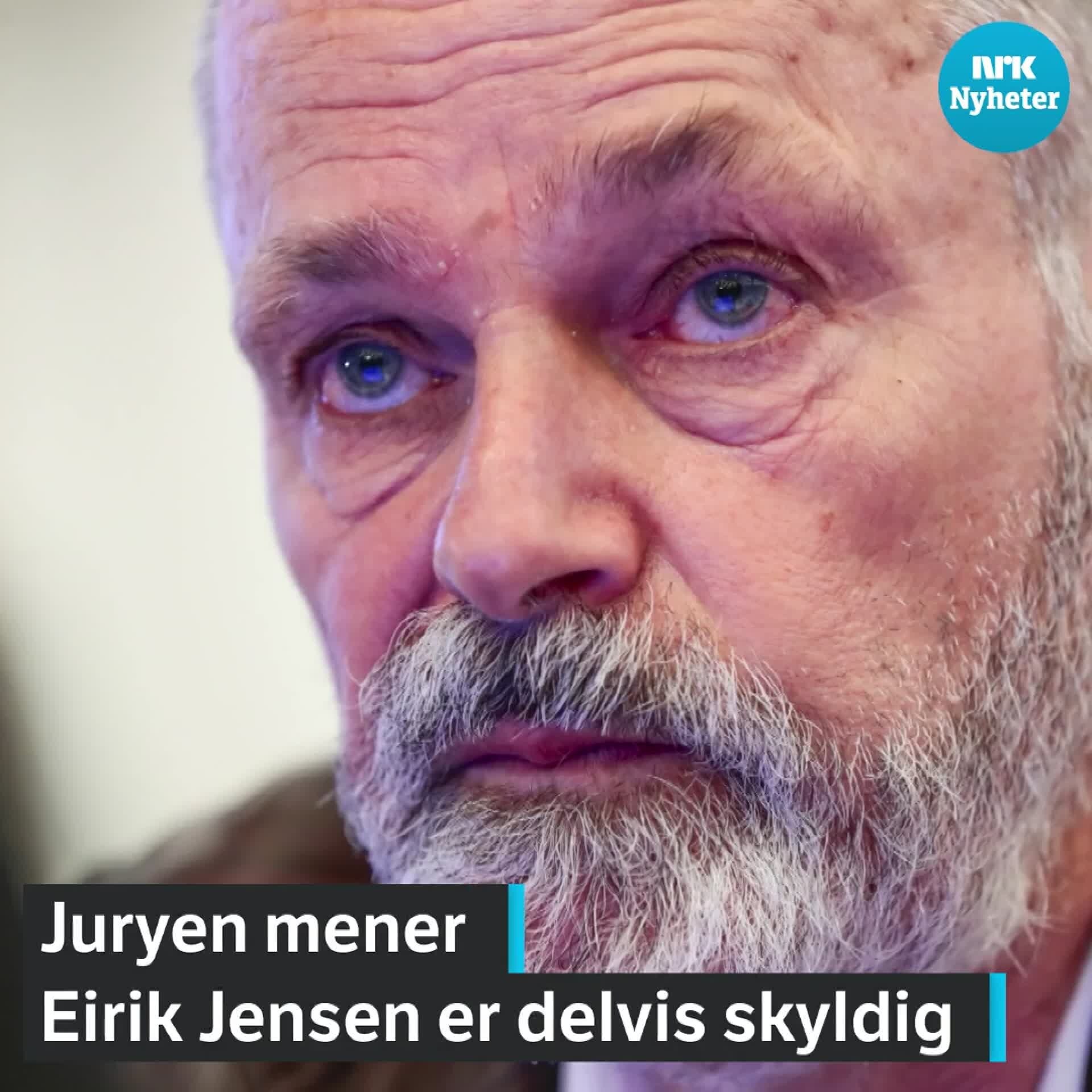 Juryen i Eirik Jensen-saken 