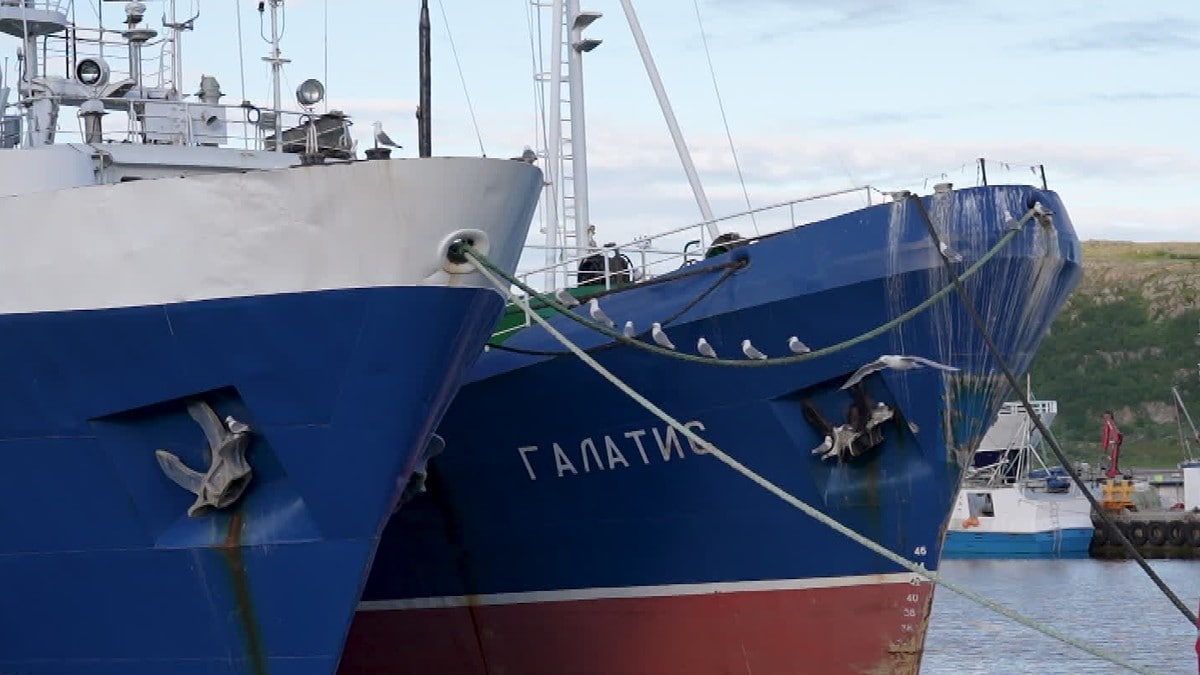 Se Nordnytt: Båtsfjord mister 250 millioner kroner ved tap av russiske fiskefartøy ved kai