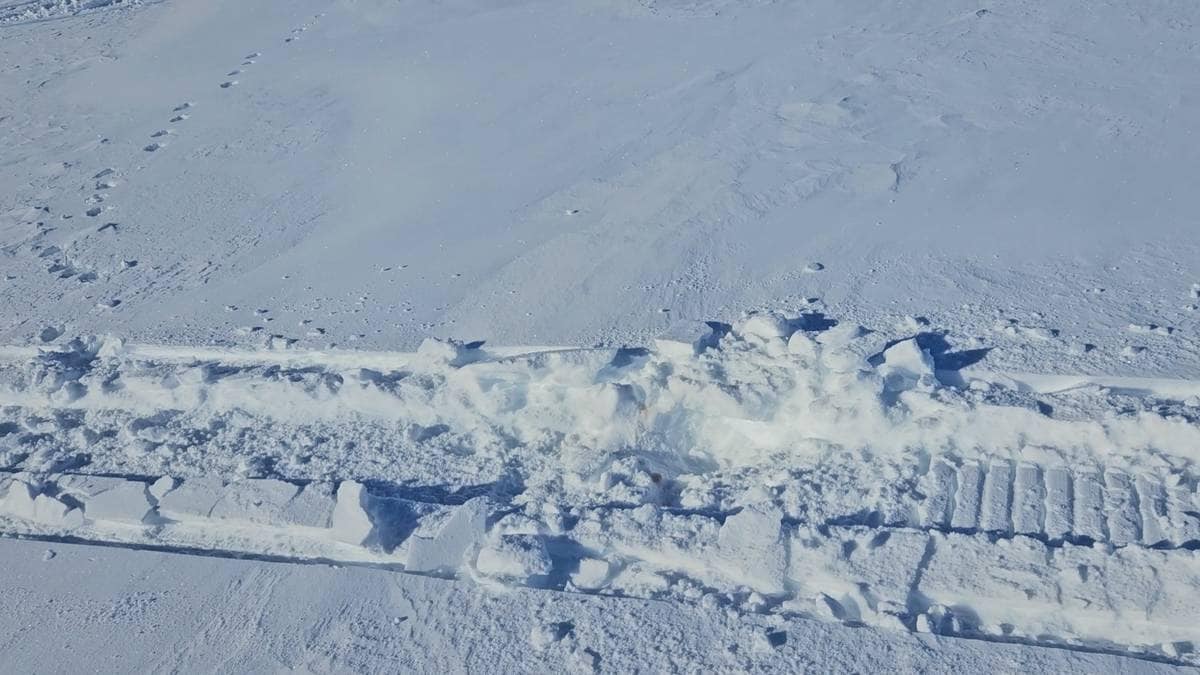 To menn pågrepet – skal ha kjørt over jerv flere ganger
