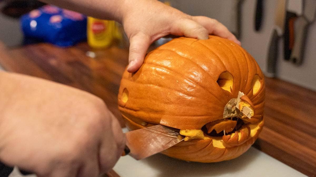 Dette må du gjøre med gresskaret: – Kan gjøre stor skade