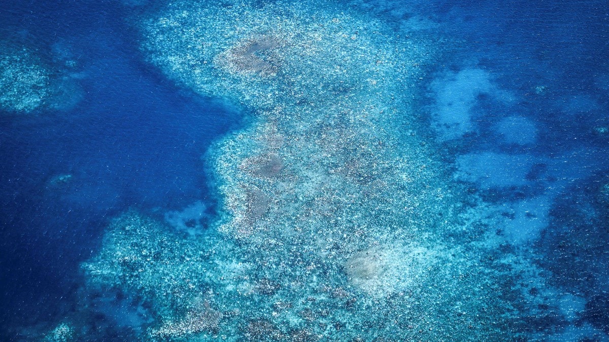 «Great Barrier Reef» skadet av høye temperaturer