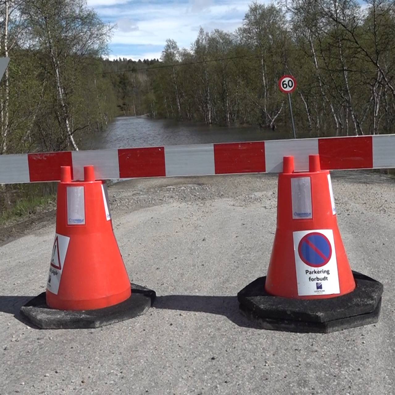 Flom Skoganvarre