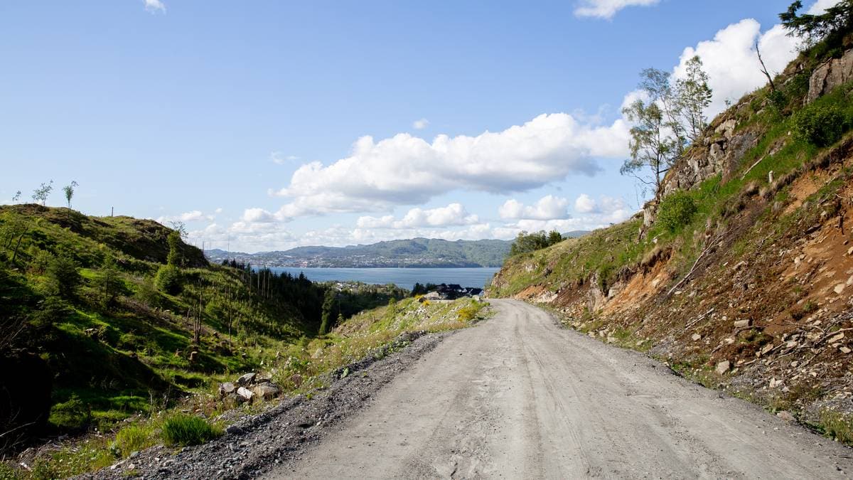 19 nye kilometer med skogsbilveier i Agder