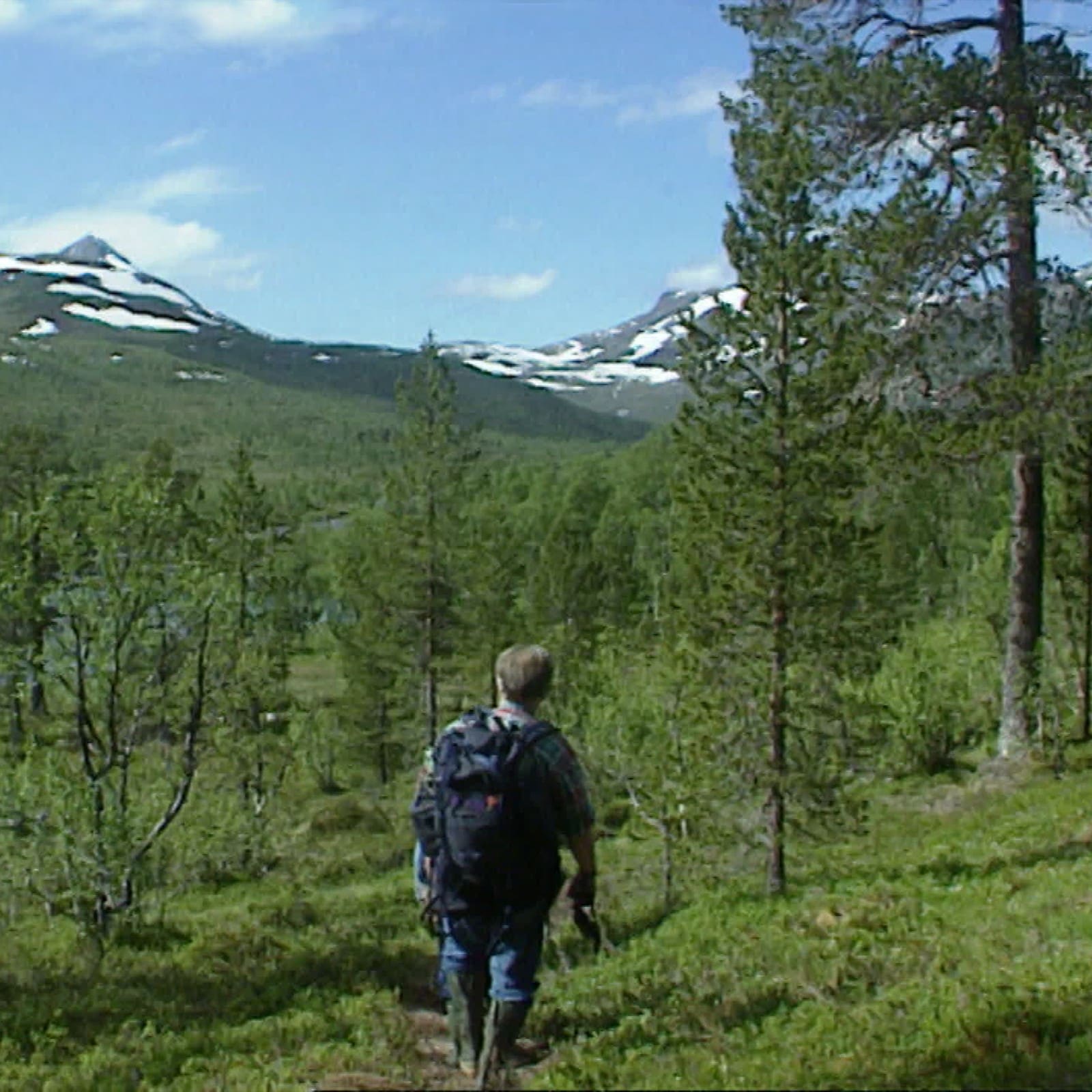 Min tur - NRK TV