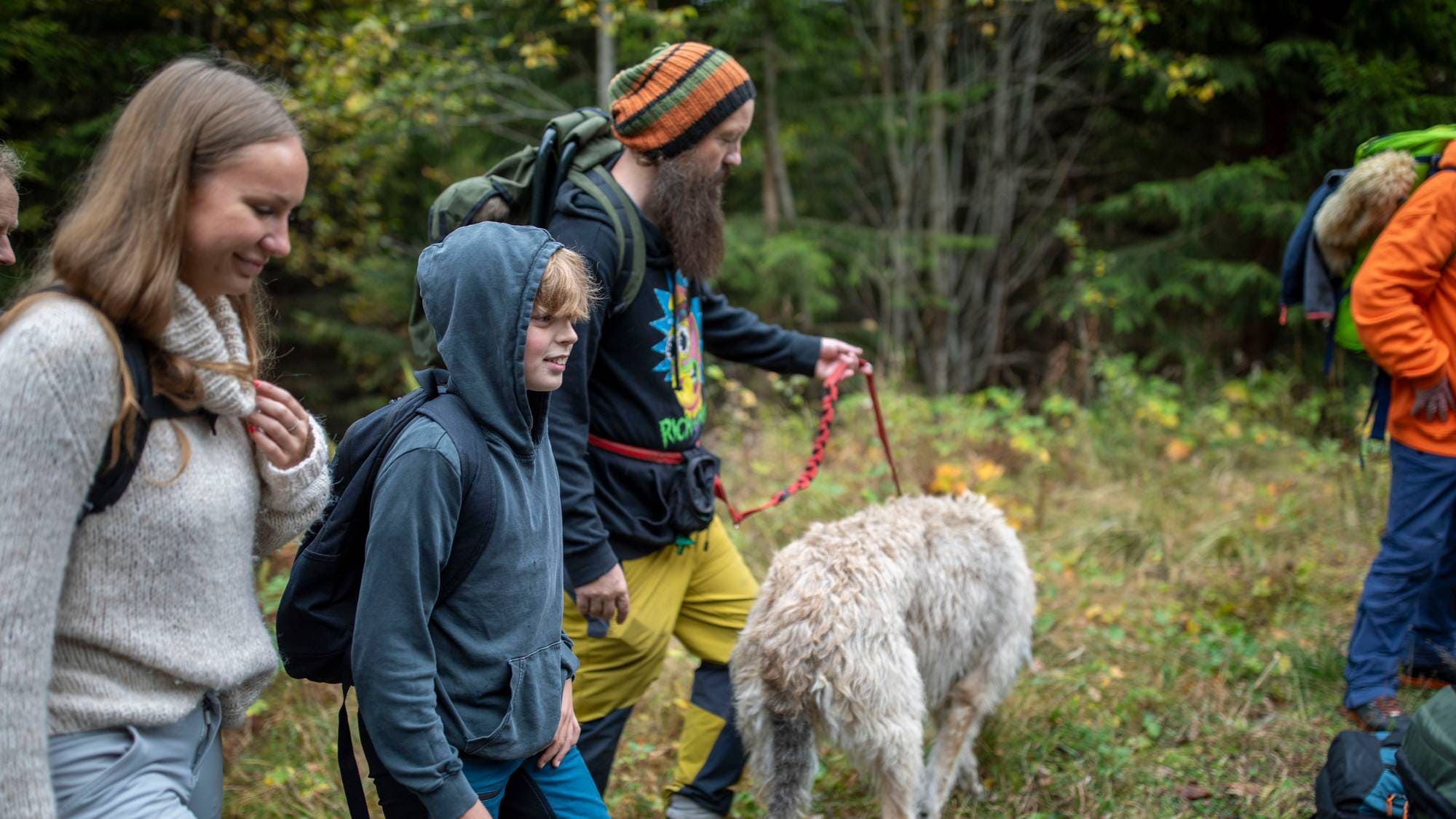Gruppe med personer på tur i skogen med en hund i bånd. (Bildebeskrivelsen er laget av en KI-tjeneste)