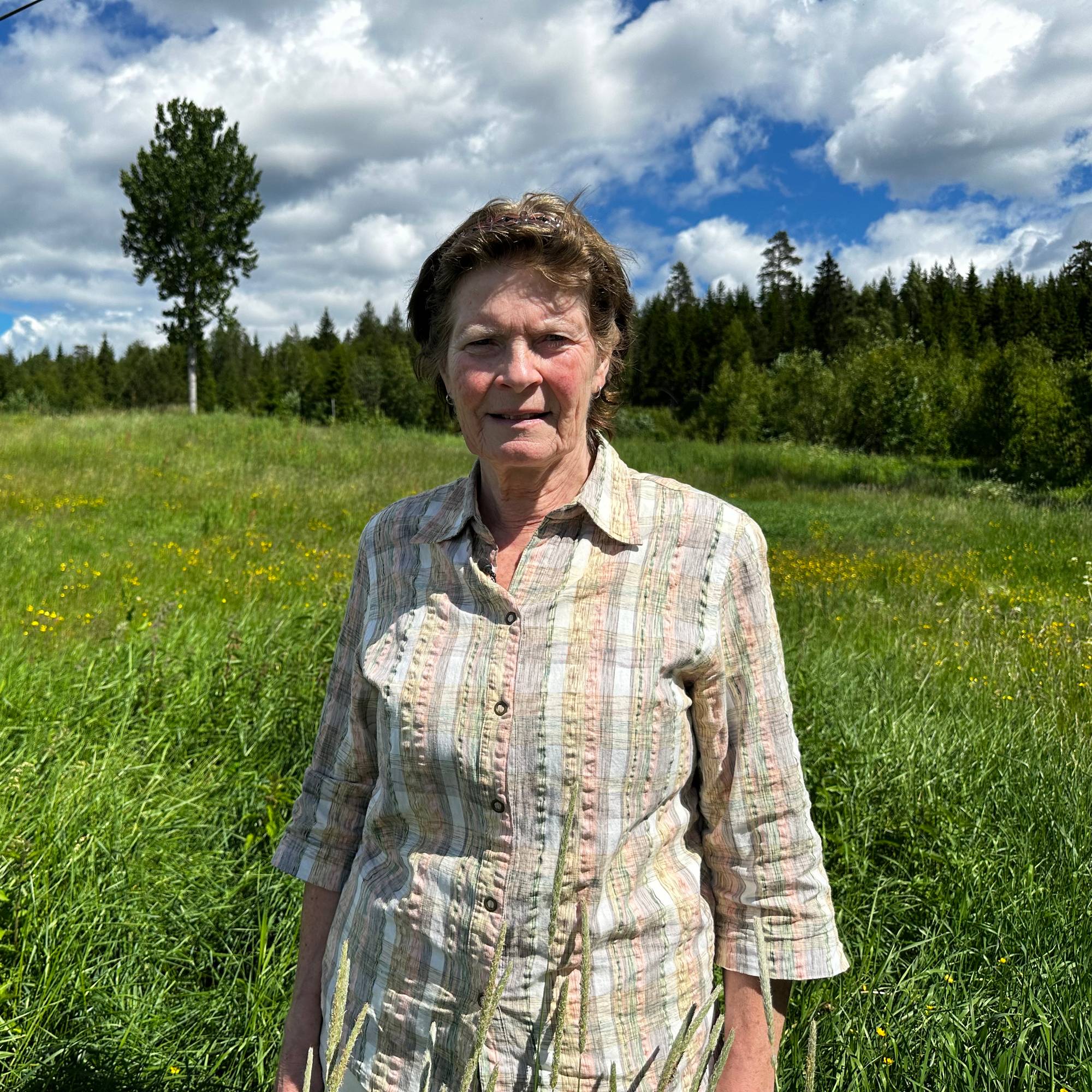 Merete Furuberg - skogfinsk