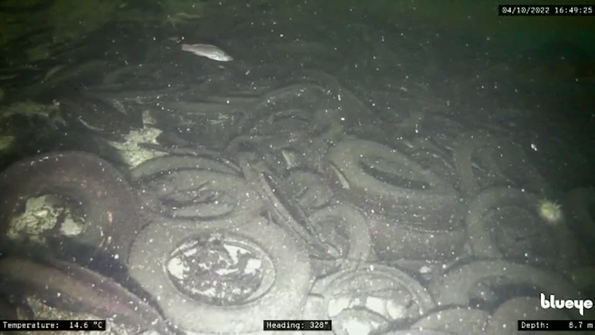 Dekka blei kasta rett på fjorden på 70-talet – forureinar framleis