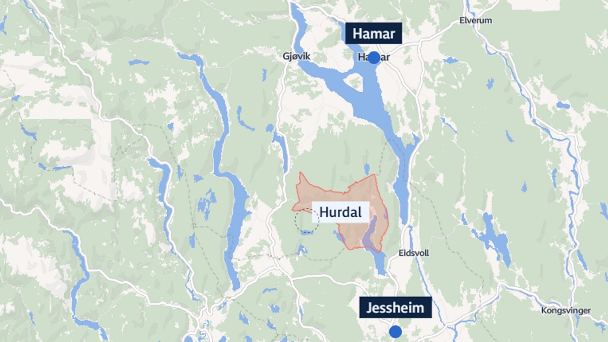 Knivstikking i Hurdal