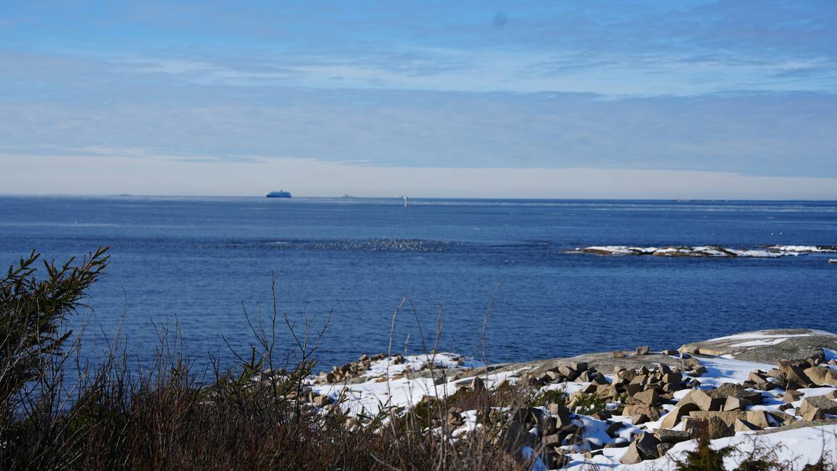 Oslofjorden: Økokrim etterlyser flere miljøanmeldelser