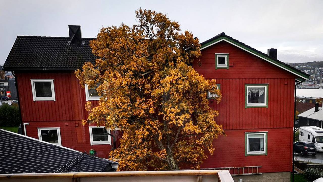 Tre mot hus