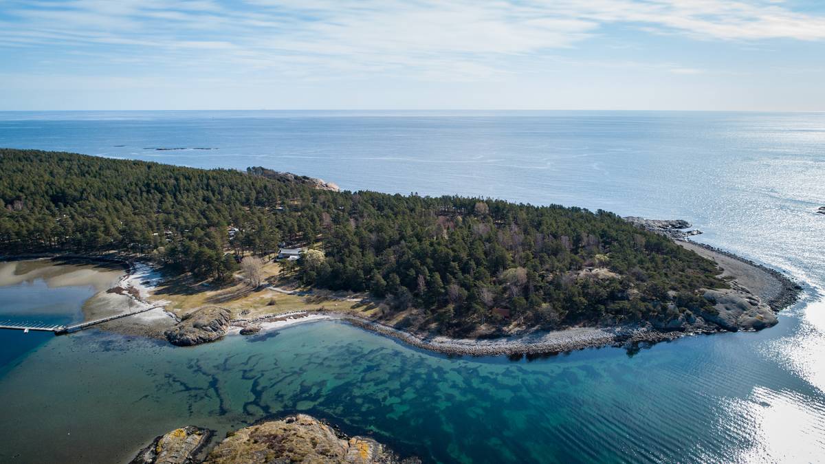 Må forklare seg etter hogst på Hoveodden