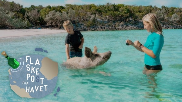 Familien fra Tikopia-eventyret skal ut på havet igjen. De skal seile i ett år, rundt hele Nord-Atlanteren. Nye utfordringer og opplevelser venter!