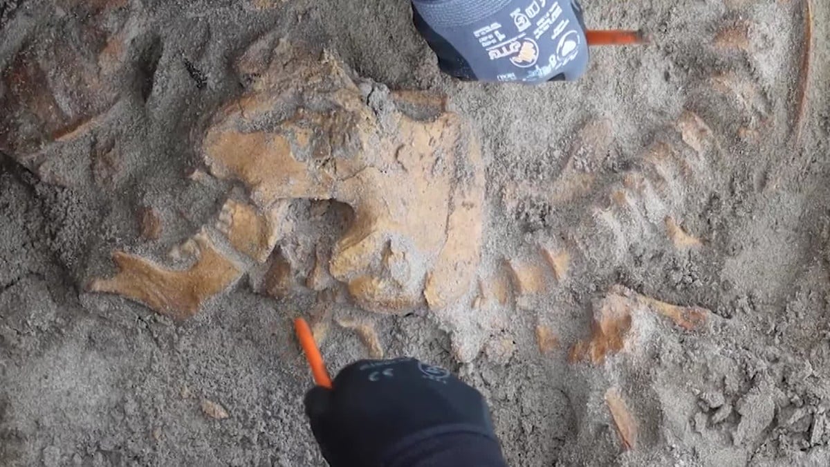Undersøker 4000 år gammal grav