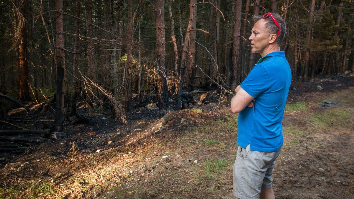 Fryktar brannstiftar står bak dei hyppige skogbrannane