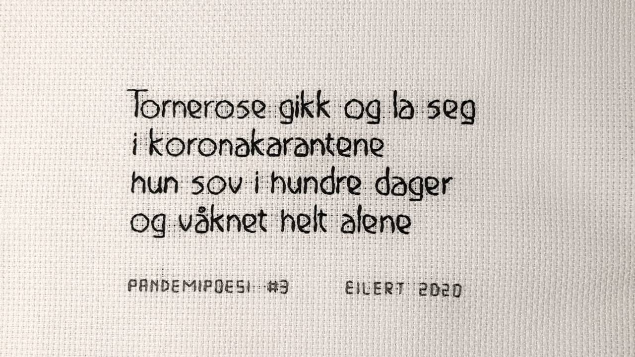 Koronabroderi av Eilert Sundt.