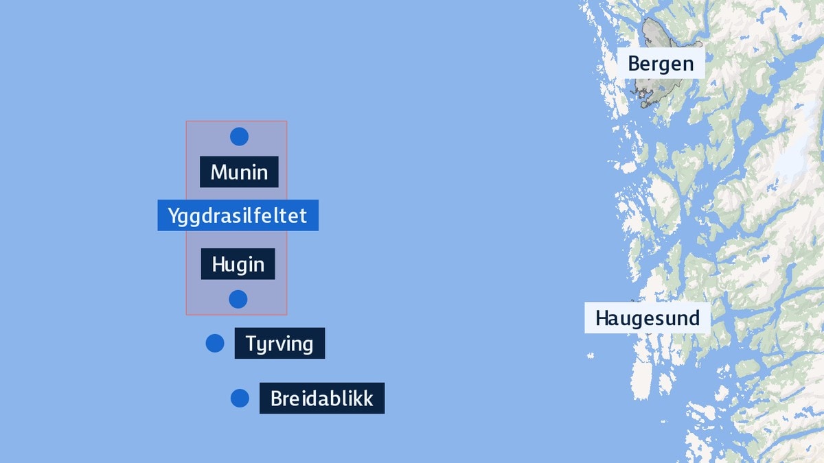 Miljøorganisasjonene vant ikke fram i lagmannsretten