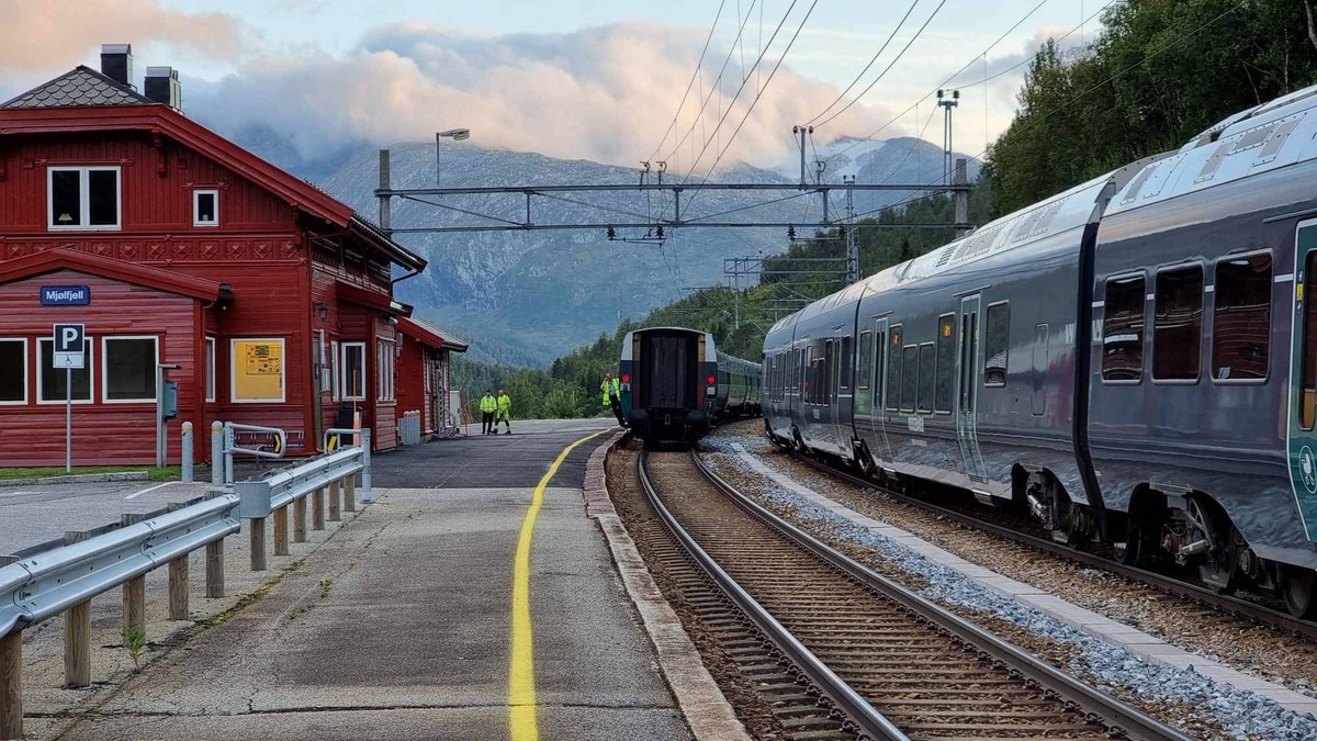 The Bergen line was closed after a herd of cows was hit in a tunnel – NRK Vestland