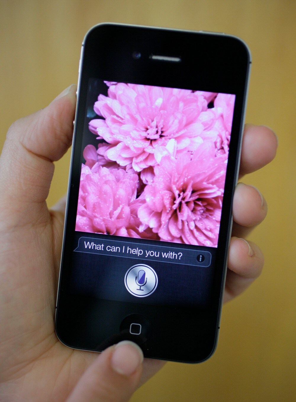 Apple vil ikke lenger la ansatte lytte på Siri-samtalene dine
