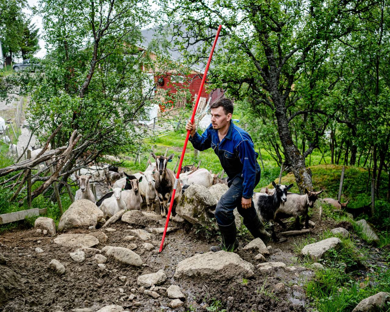 Christian går opp på fjellet.