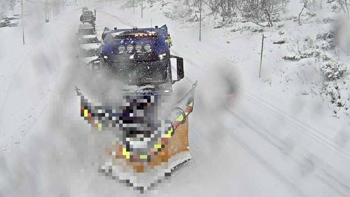 Setter kriseledelse i Arendal