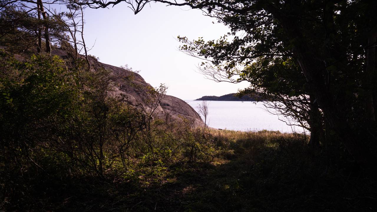 Gravplass Bolærne