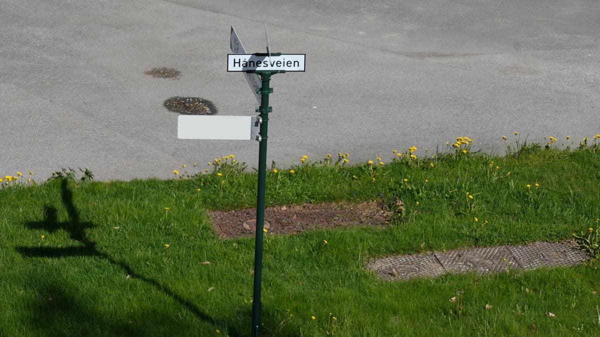 Fortsett ingen mistenkt etter overfallsvoldtekt