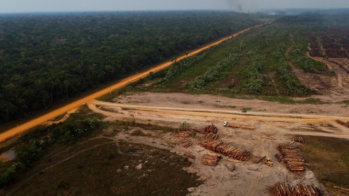 Brasil: Ny oktoberrekord for avskoging i Amazonas