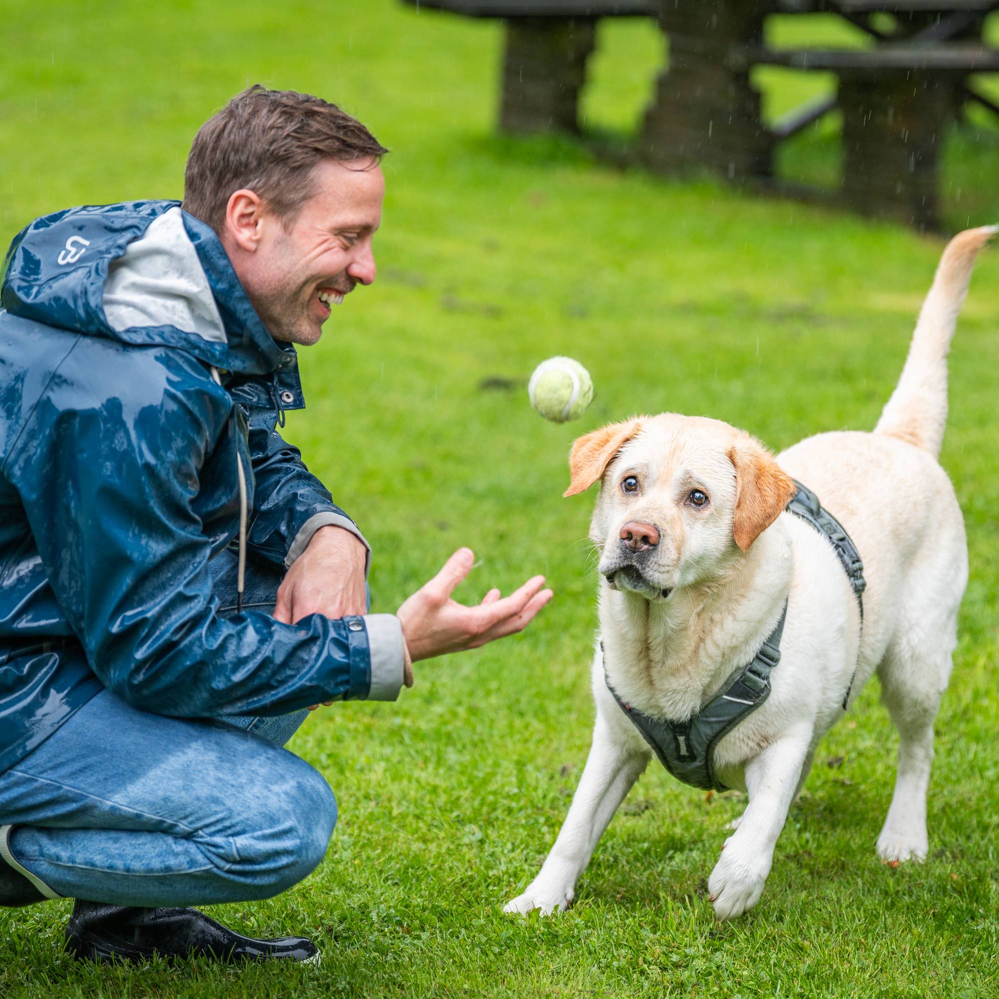 En hvit hund og en mann i regnjakke