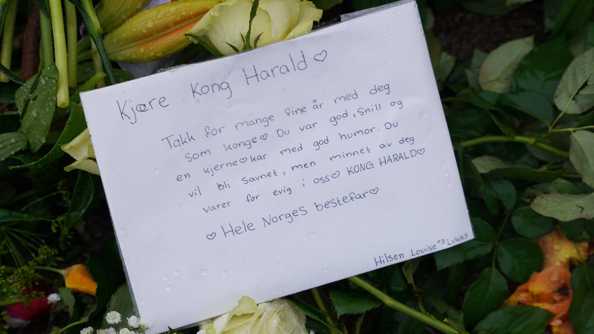 Håndskrevet hilsen til Kong Harald plassert blant blomster. (Bildebeskrivelsen er laget av en KI-tjeneste)