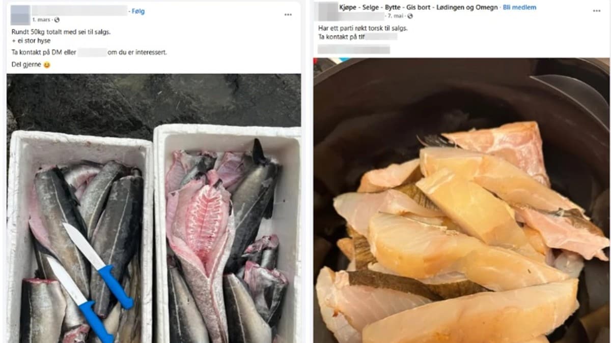 Advarsel om fiskesalg på Facebook skapte storm: – Krasj med kystkulturen
