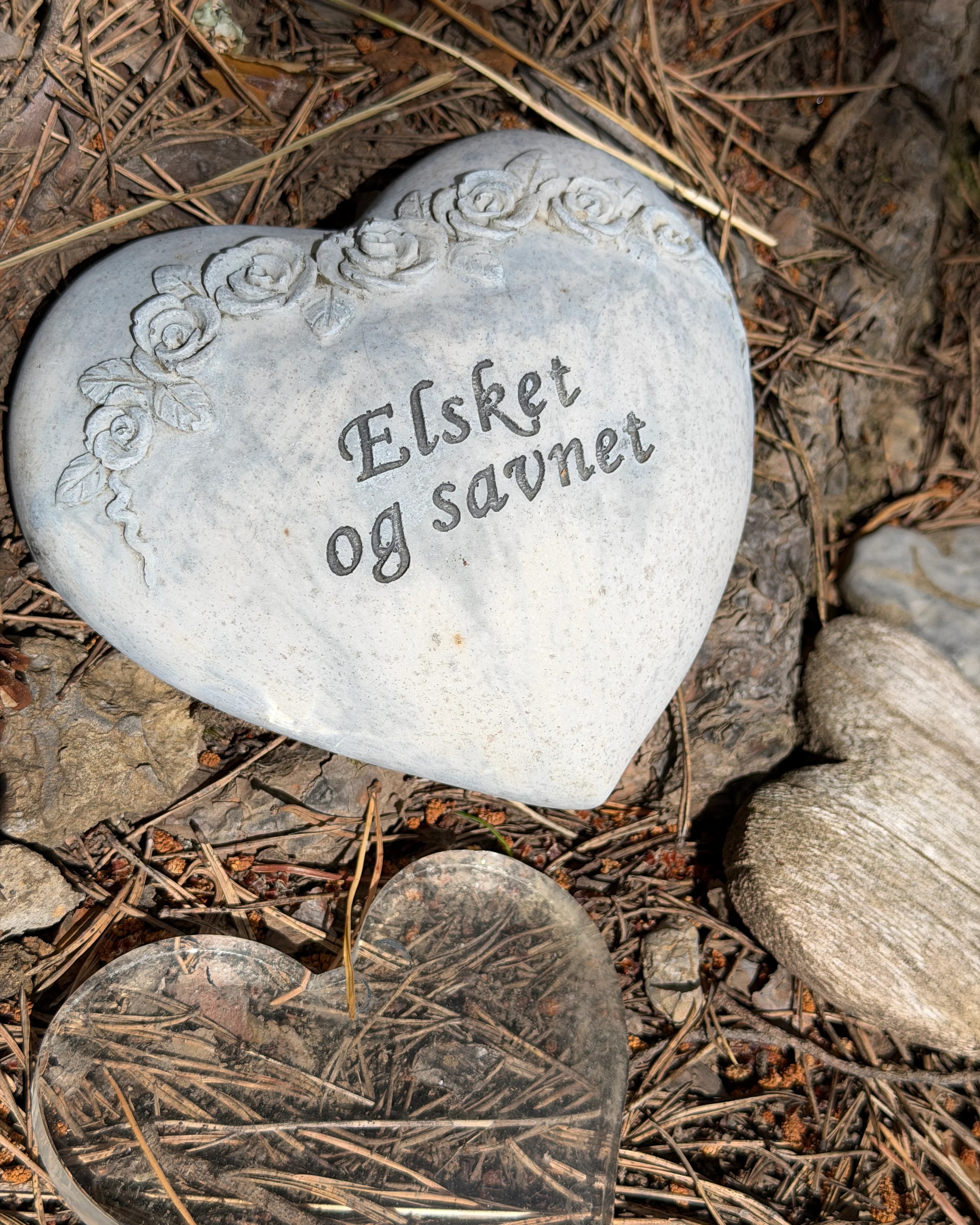 hjerte