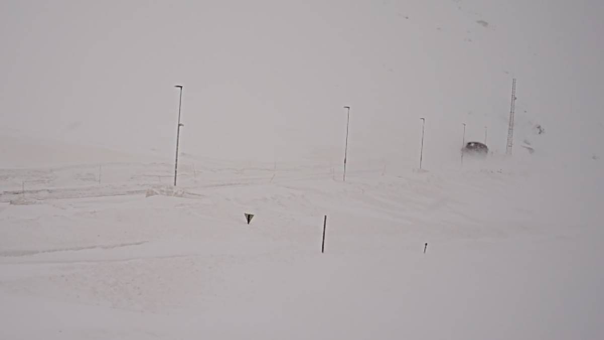 Kolonnekjøring på Haukelifjell – NRK Vestland