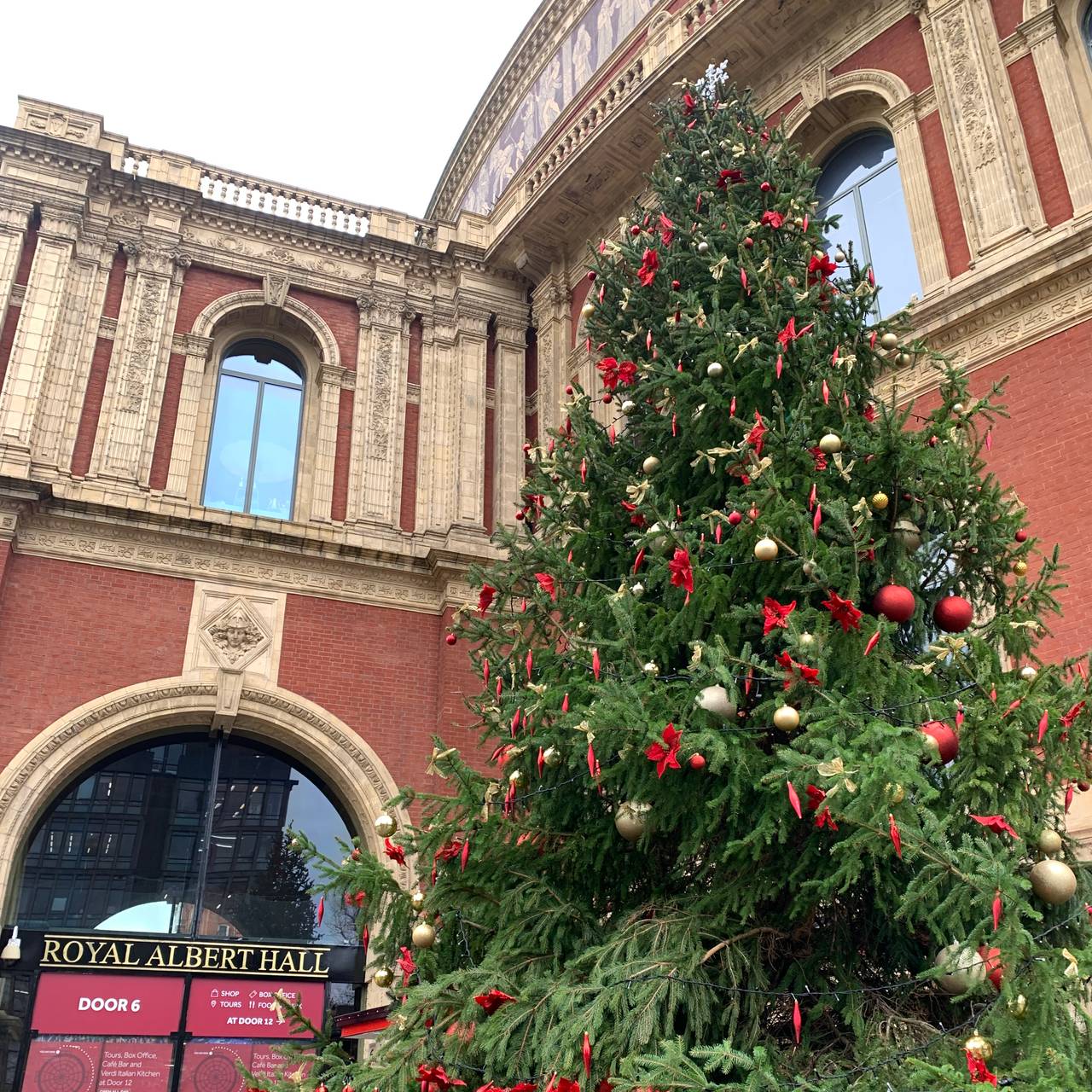 Et norskkjøpt juletre utenfor Royal Albert Hall