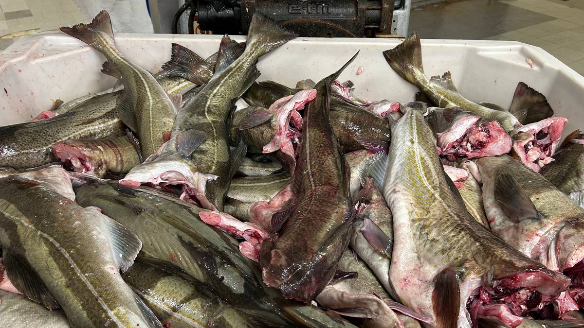 – Folk har vært på gråten