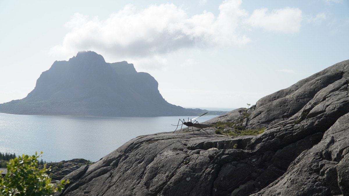 Turistsvikt på Helgeland – været får skylda