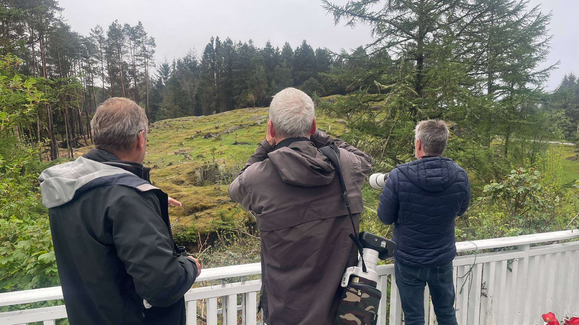 Menn står på ein terrasse og kikar ut i skogen med kikkertar og fotokamera med lange linser