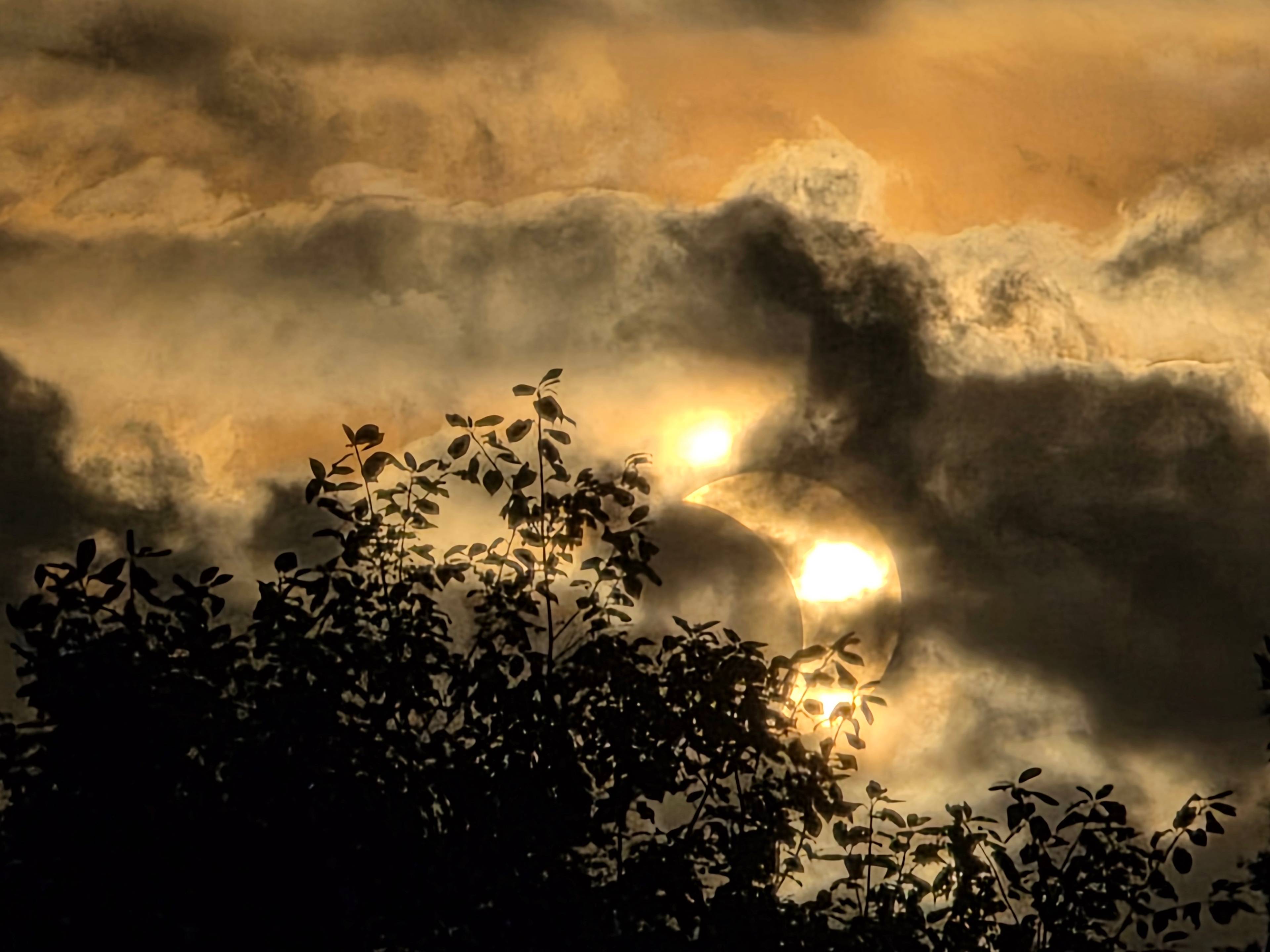 Delvis solformørkelse sett gjennom skyer og trær i silhuett mot en gyllen himmel. (Bildebeskrivelsen er laget av en KI-tjeneste)