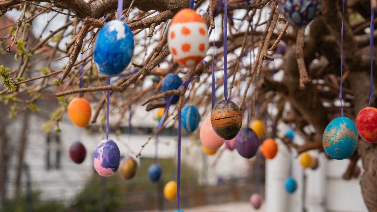 Ny unders&oslash;kelse viser at halvparten blir hjemme i p&aring;sken