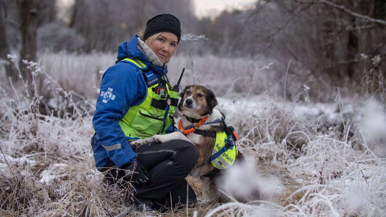 To av de vi møter i serien Redningshundene  er hundefører Aud Ingebjørg Barstad fra Elverum og hennes border collie Bessie, som er godkjent redningshund i disiplinen ettersøkning.