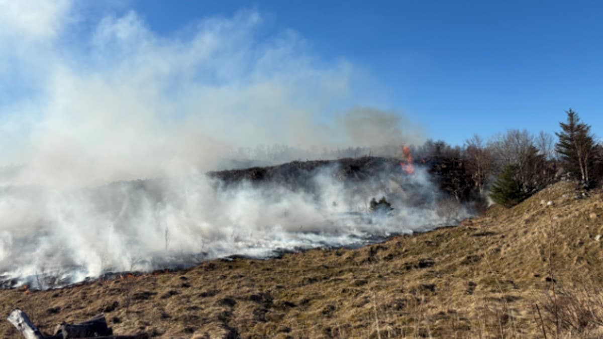 Vinden gir næring til lyngbrann: – Ikke kontroll